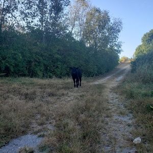 Meet your Posher, Patricia